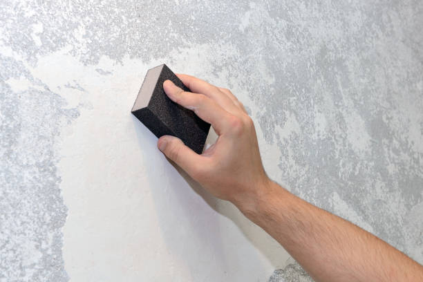 Best Mold-Related Health Consultation  in Hampton, MD