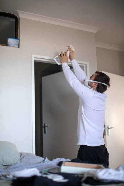 Best Water Damage & Mold Remediation  in Hampton, MD
