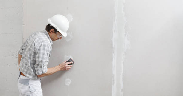 Best Post-Construction Mold Inspection  in Hampton, MD