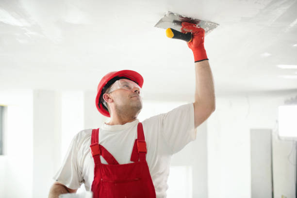 Best Mold Removal for HVAC Installations  in Hampton, MD