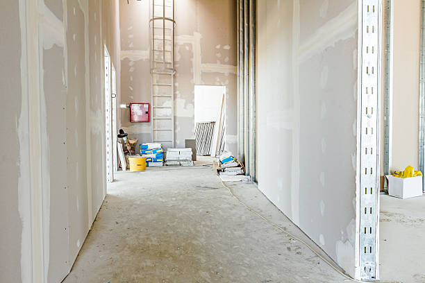 Best Industrial Mold Remediation  in Hampton, MD